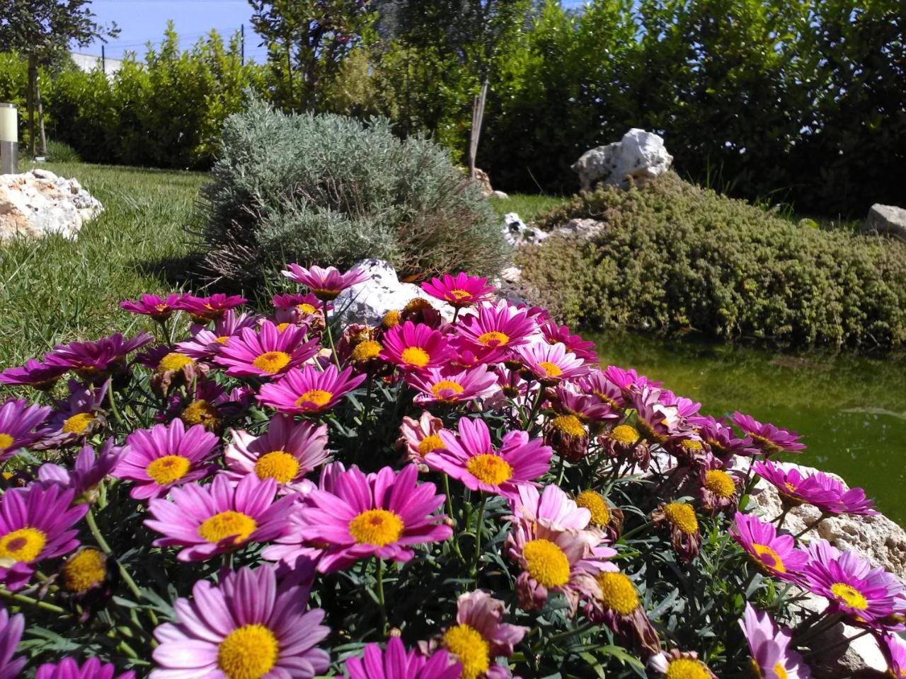 Villetta Dote Casarano Εξωτερικό φωτογραφία